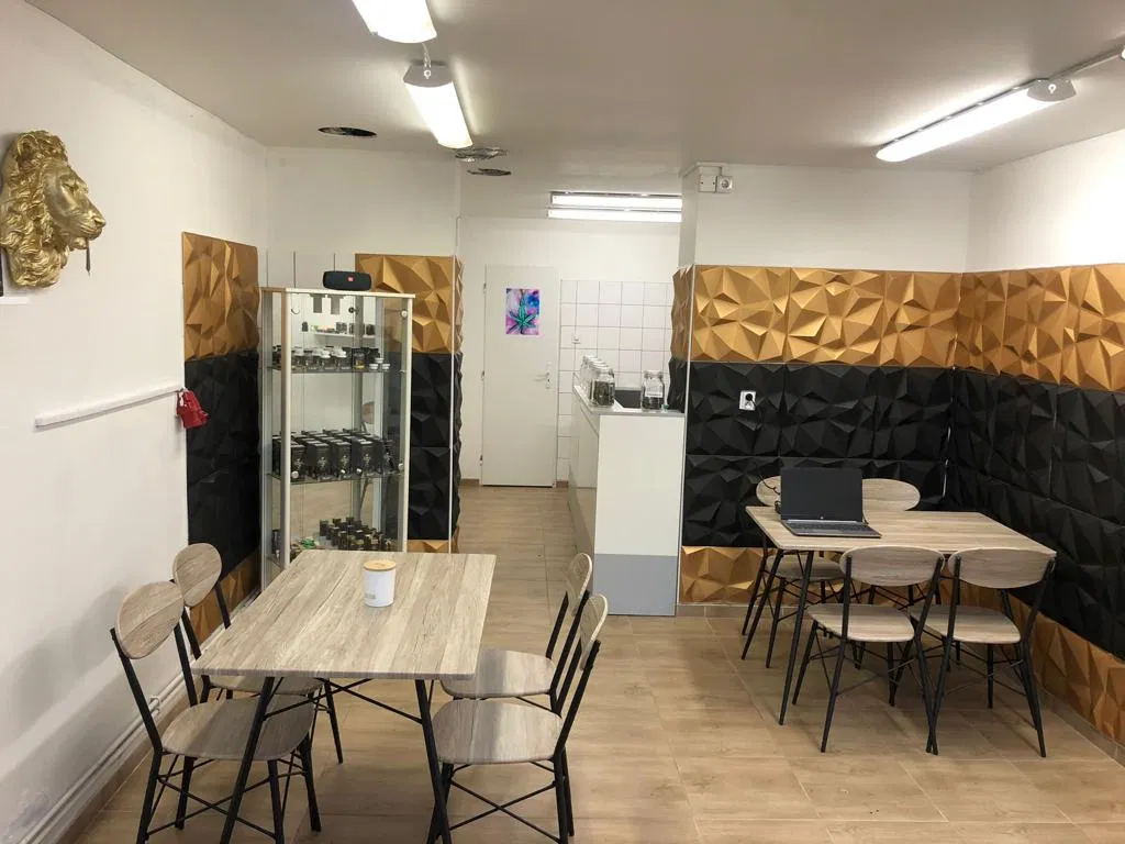 CBDsvet.cz - Hradec Králové - foto 2