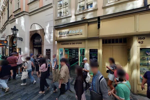 RastaKoala.com - foto 2