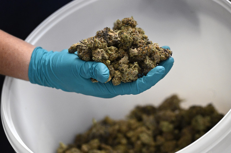 weedshop.cz - foto 3