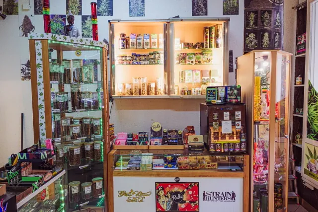Interiér prodejny Cannabis Shop Ostrava Centrum s vitrínami a konopným sortimentem