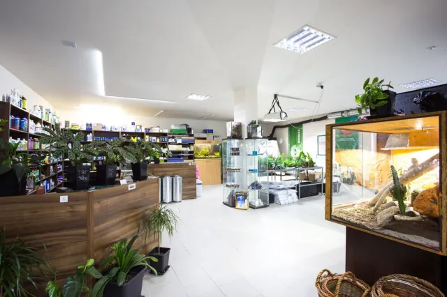 Interiér prodejny My-Garden growshop v Brně s pultem, rostlinami a pěstitelským sortimentem