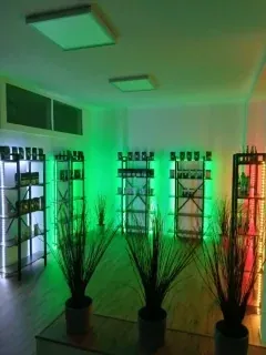 Innenraum von AMSTR SHOP an der Úvoz 86 in Brünn