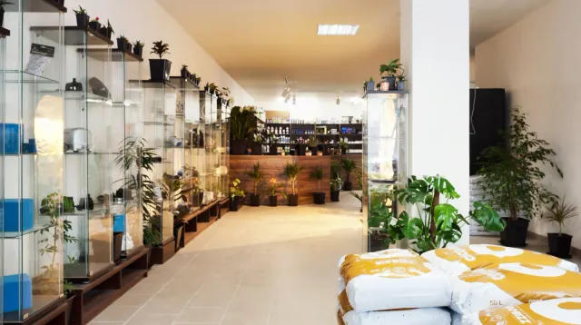 Interiér prodejny My-Garden growshop v Brně s regály, pěstební technikou a substráty